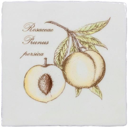 White ceramic tile with detailed peach illustration and botanical text in peach on cotton design