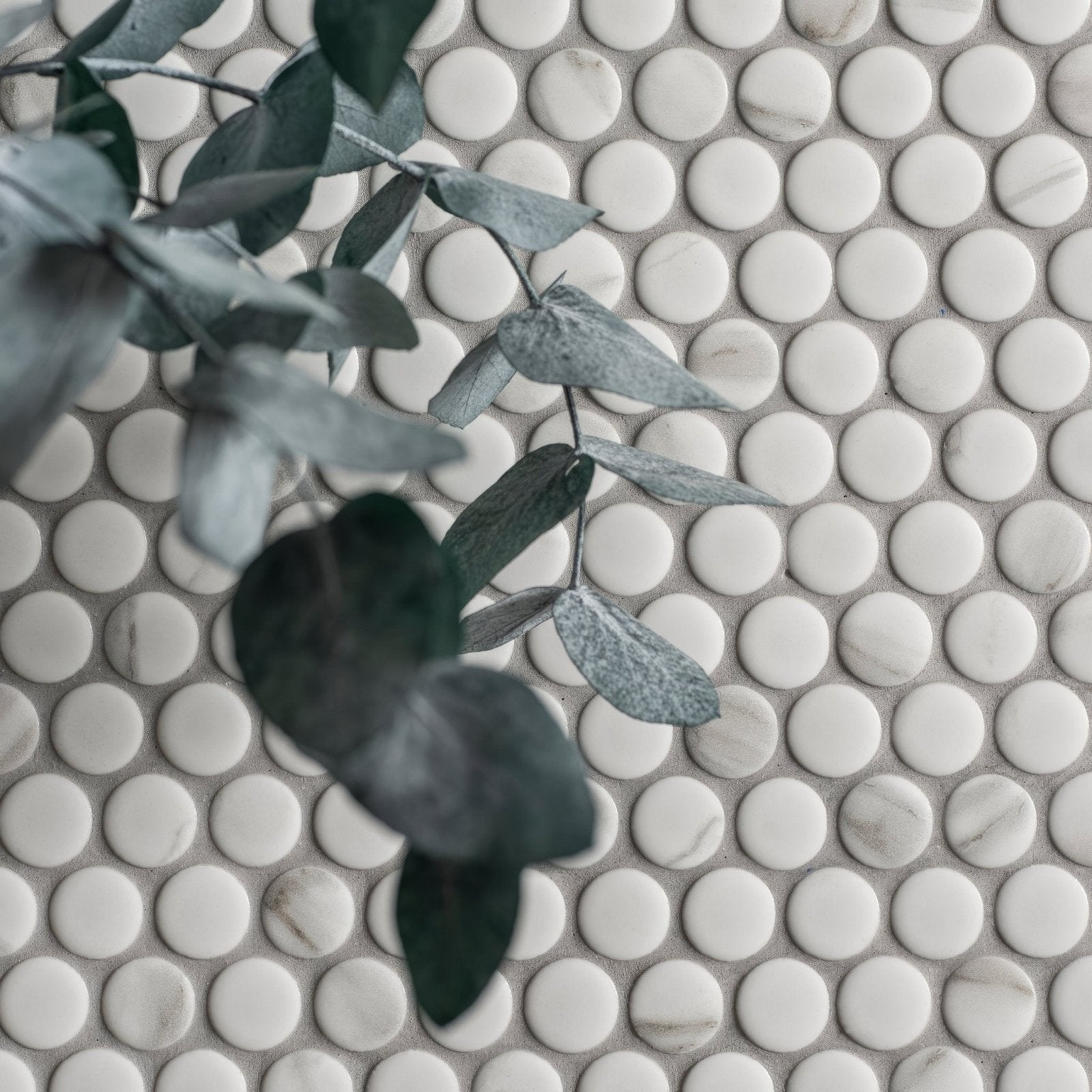 A branch of eucalyptus with silvery green leaves resting against penny round matt carrara white marble effect tiles