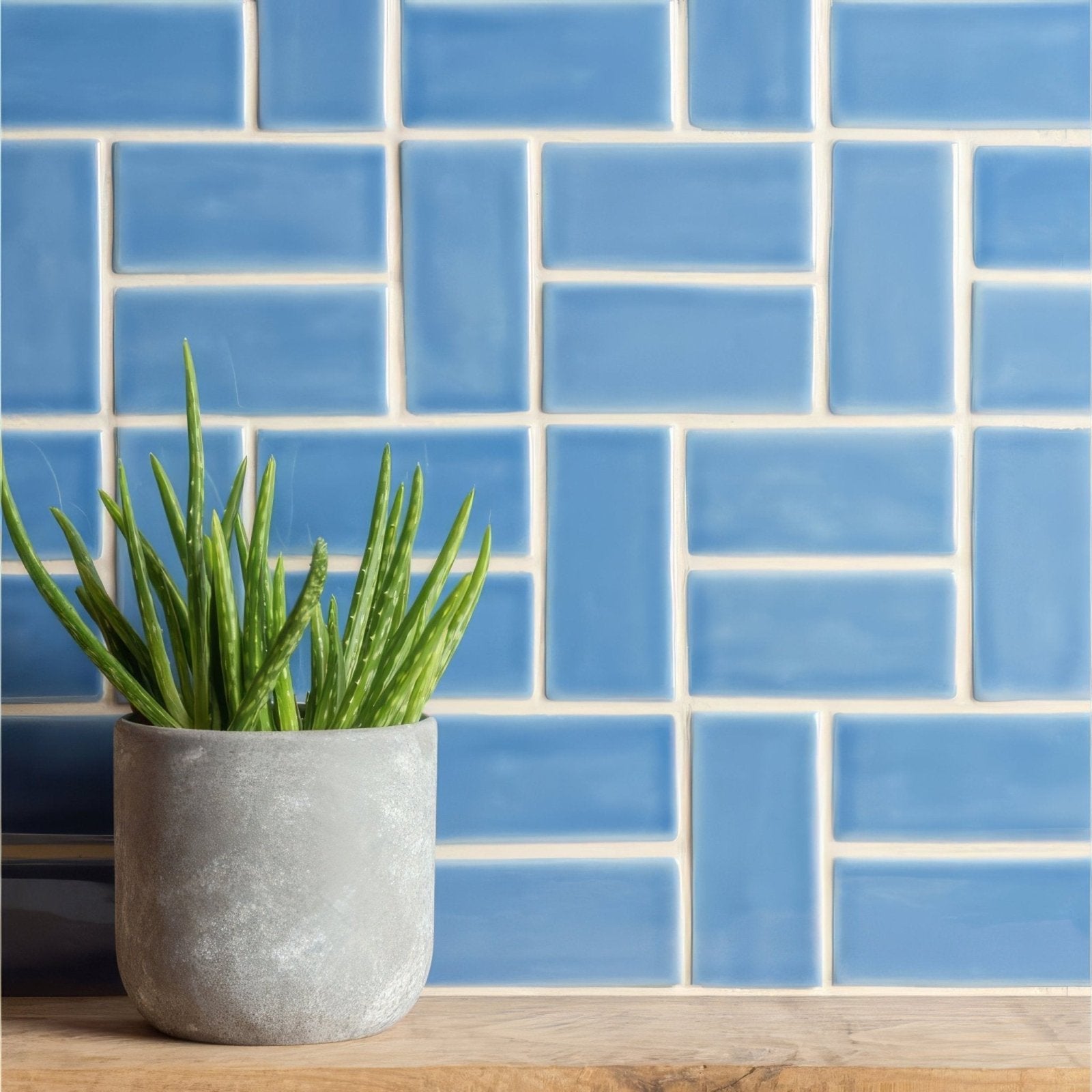 A gray concrete-style periwinkle half tile pot holding a green succulent plant with long pointed leaves