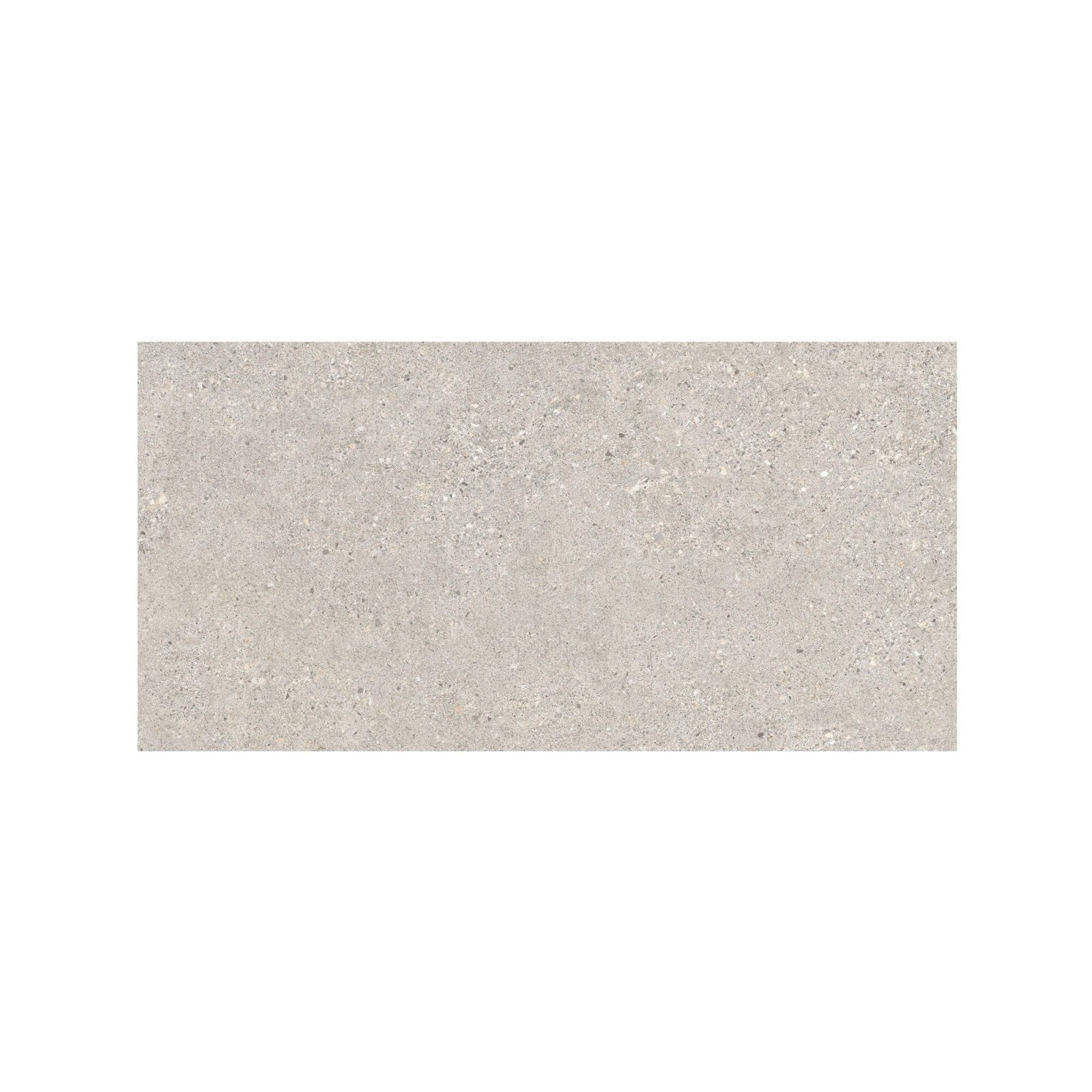 A rectangular light gray Piazza Silver stone tile with subtle speckled texture measuring 60 x 120cm