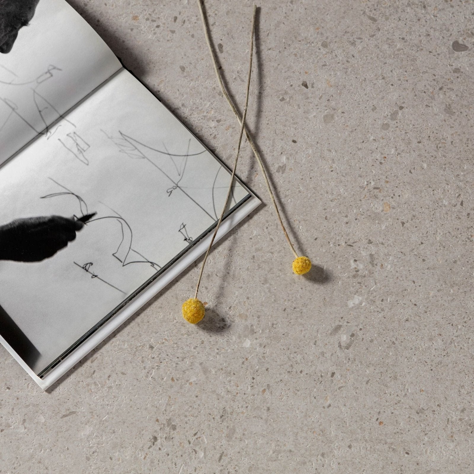 Two slender dried yellow globe flowers with delicate stems beside an open sketchbook for piazza silver 60 x 60cm