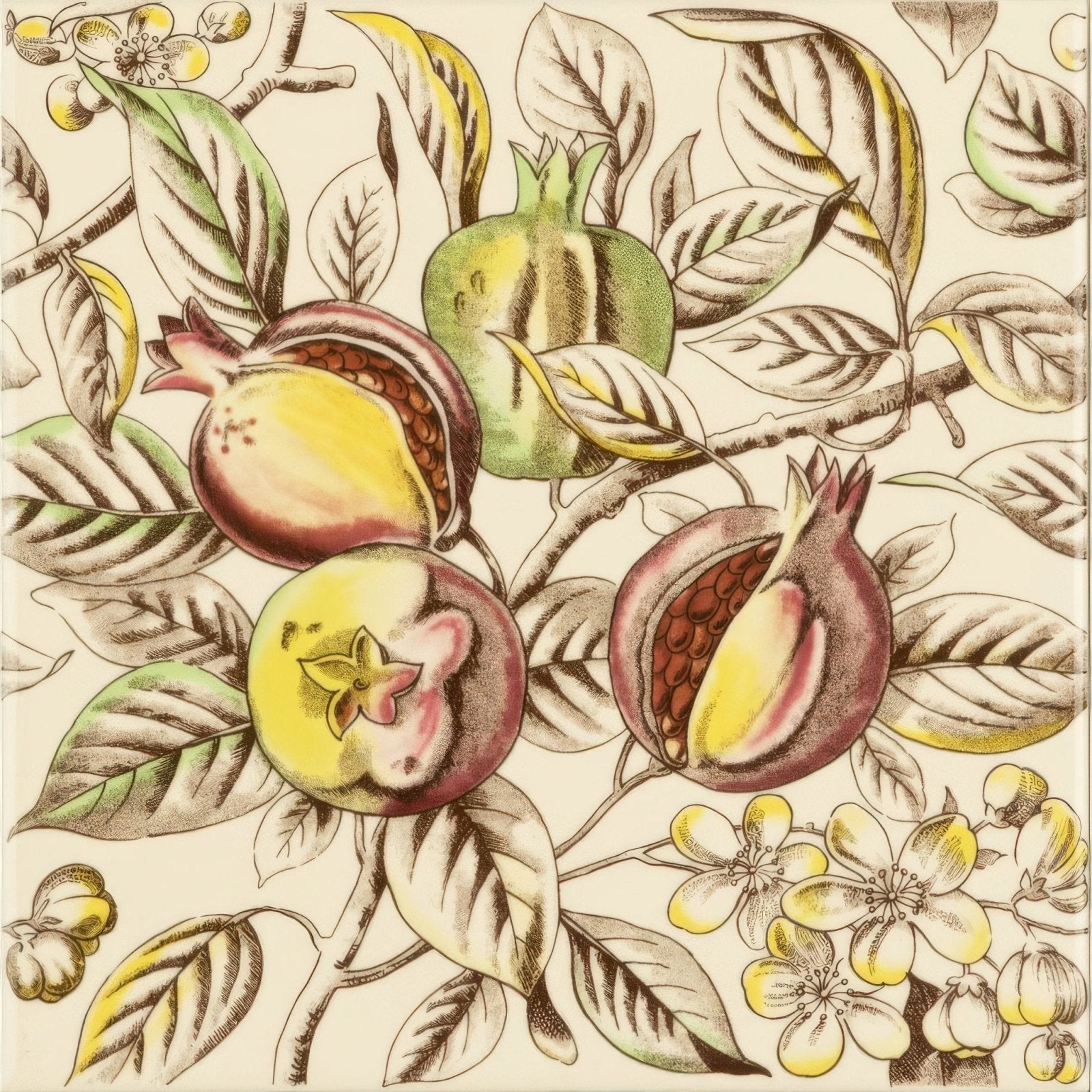 Pomegranate Continuous Patterns on County White