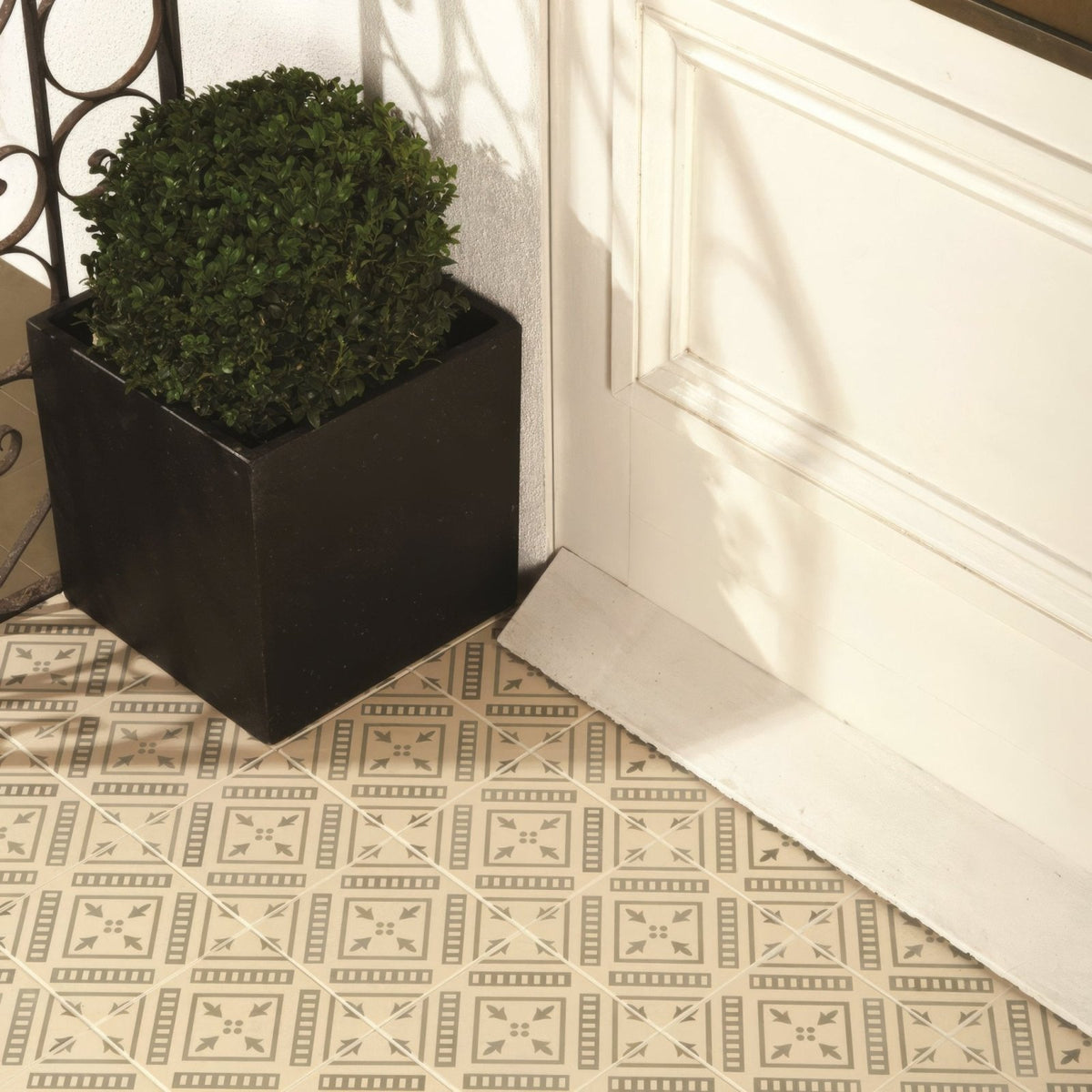 Black square planter pompeii dublin on white holding a dense green shrub for indoor or outdoor decor