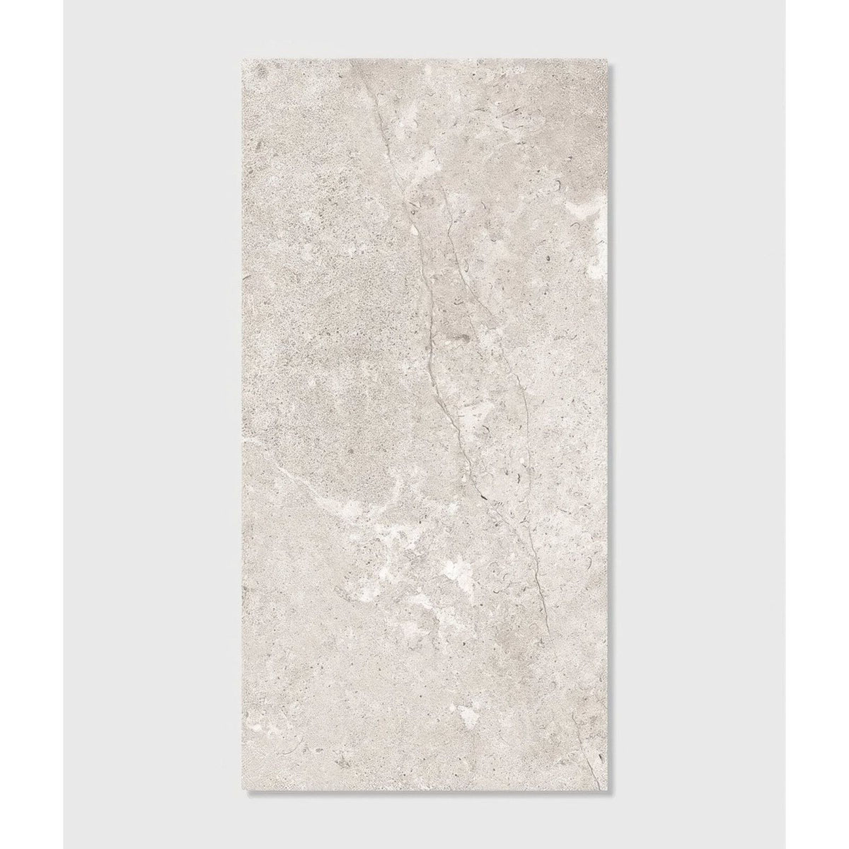 A rectangular beige campagna porcelain matt tile with subtle gray veining and a textured natural surface 59.5 x 120cm