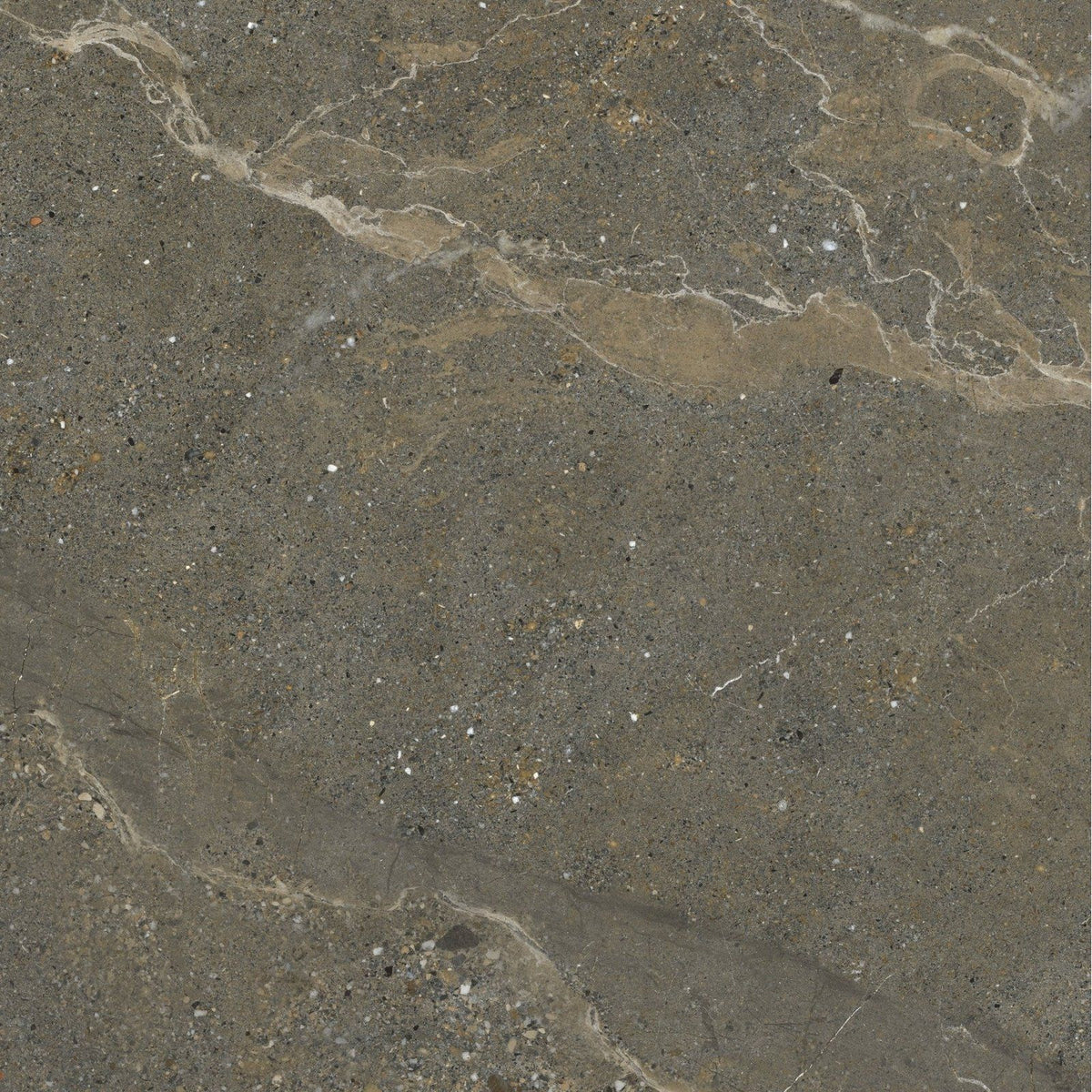 Etna porcelain matt tile 59.5x59.5cm dark gray stone with subtle beige and white veining for elegant flooring