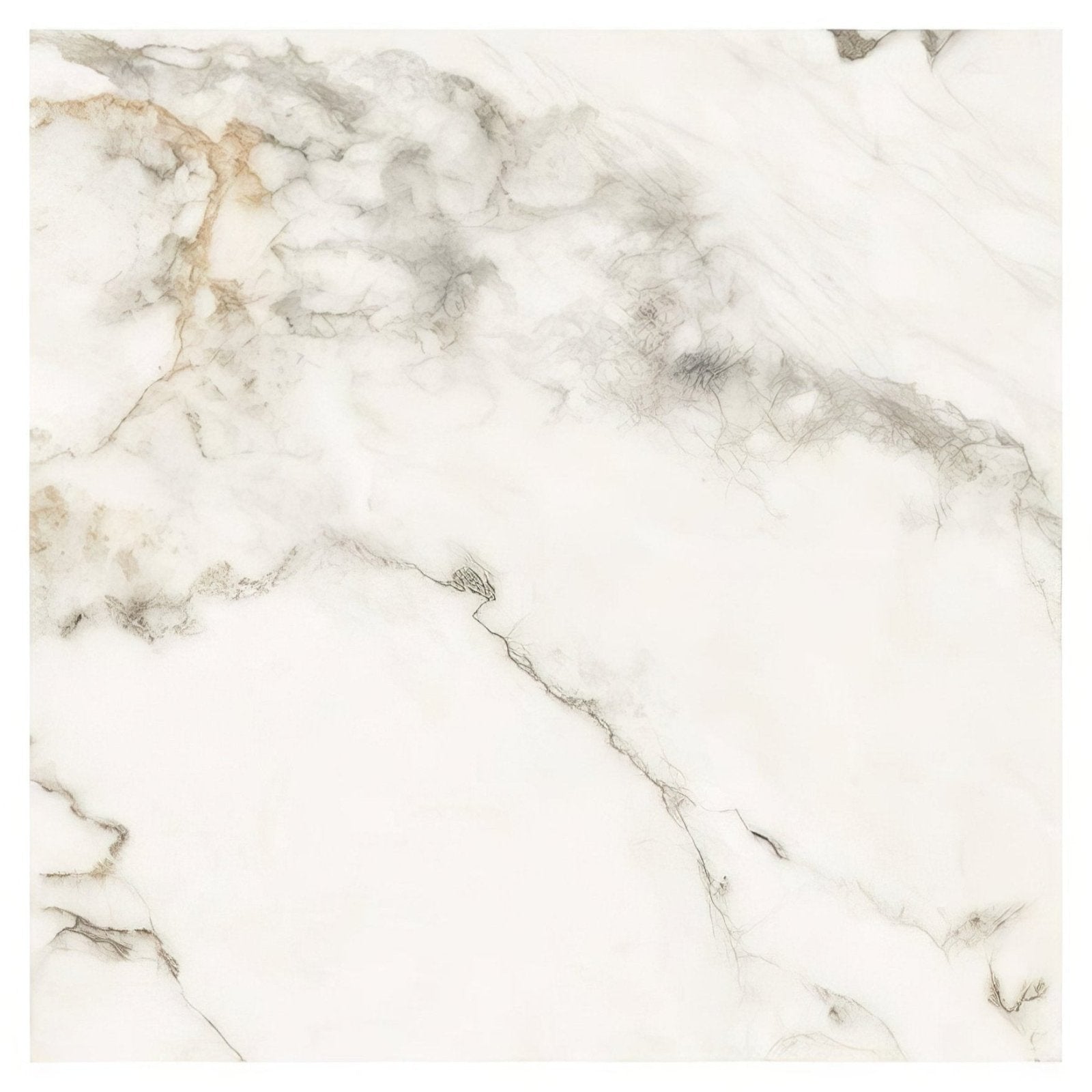 Portare Muscat Porcelain 59.5 x 59.5cm