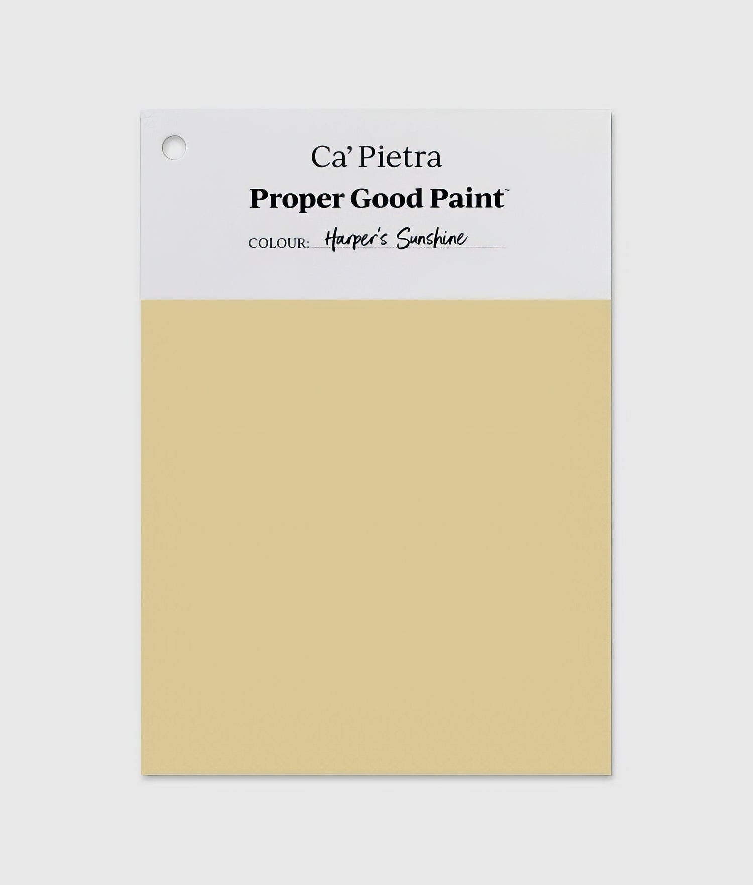 Proper Good Paint™ Harper’s Sunshine - Hyperion Tiles