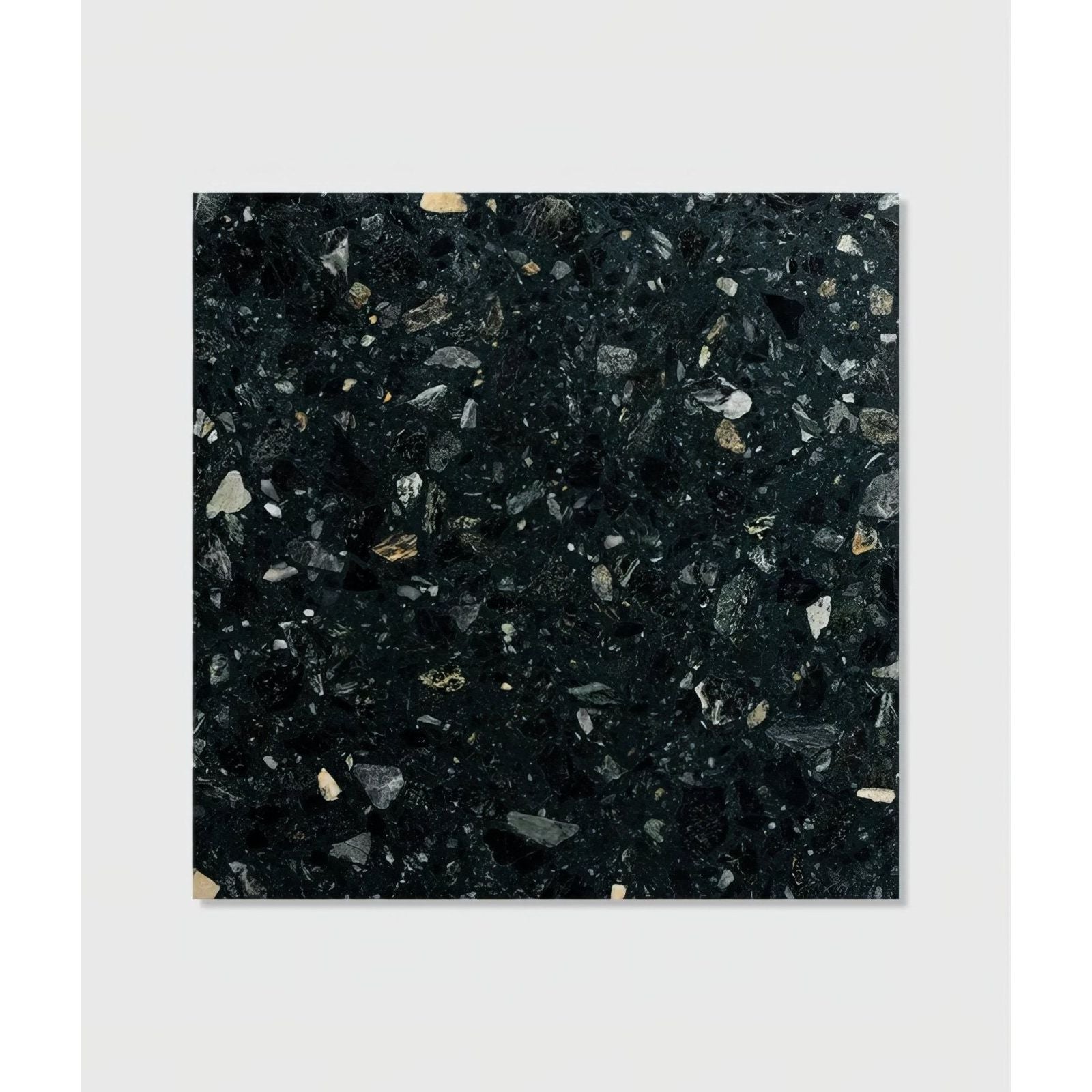 Rialto terrazzo Foscari honed black tile with a speckled pattern of white gray and beige stone fragments