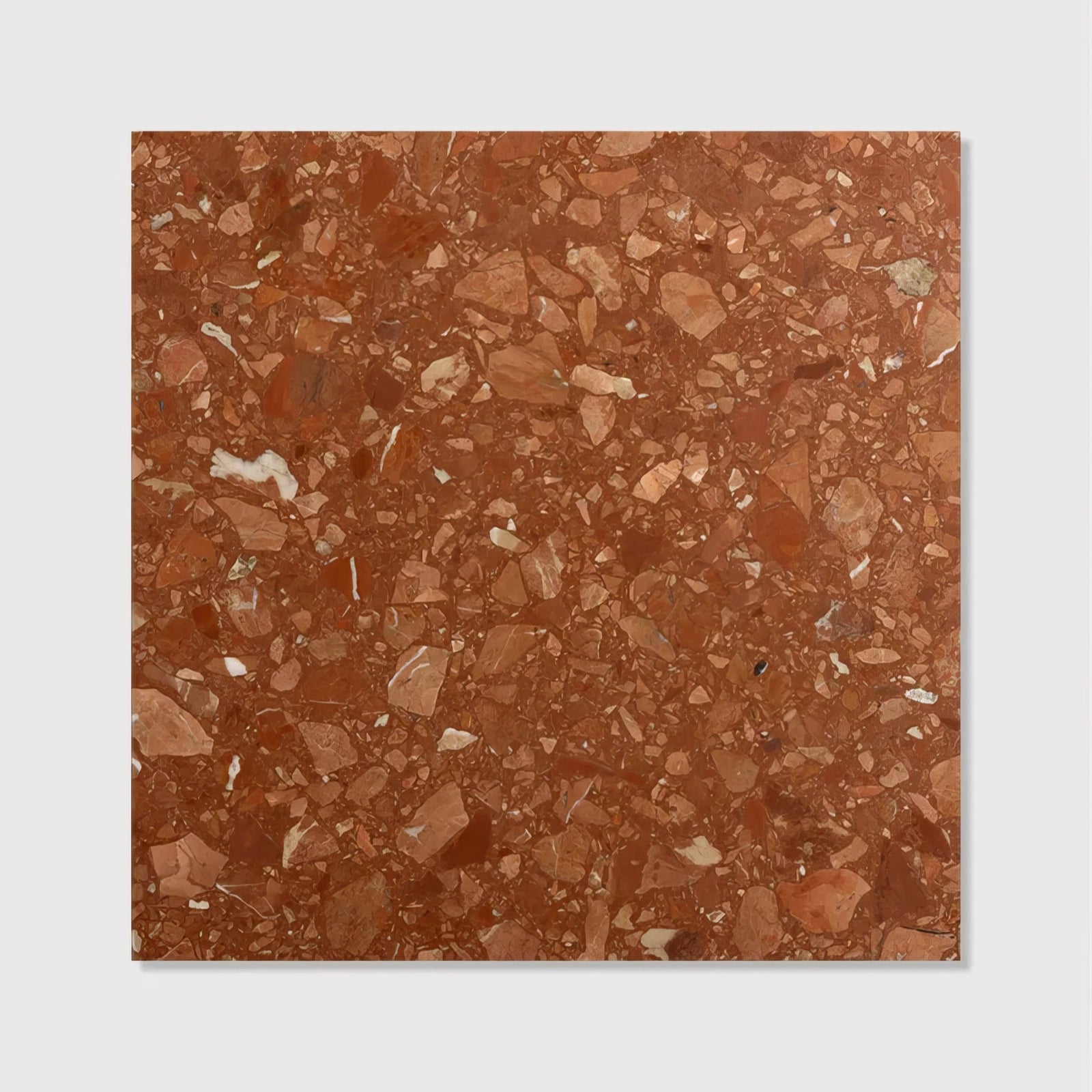 Rialto Terrazzo Santa Croce Honed Tile 60x60cm – detail view 5