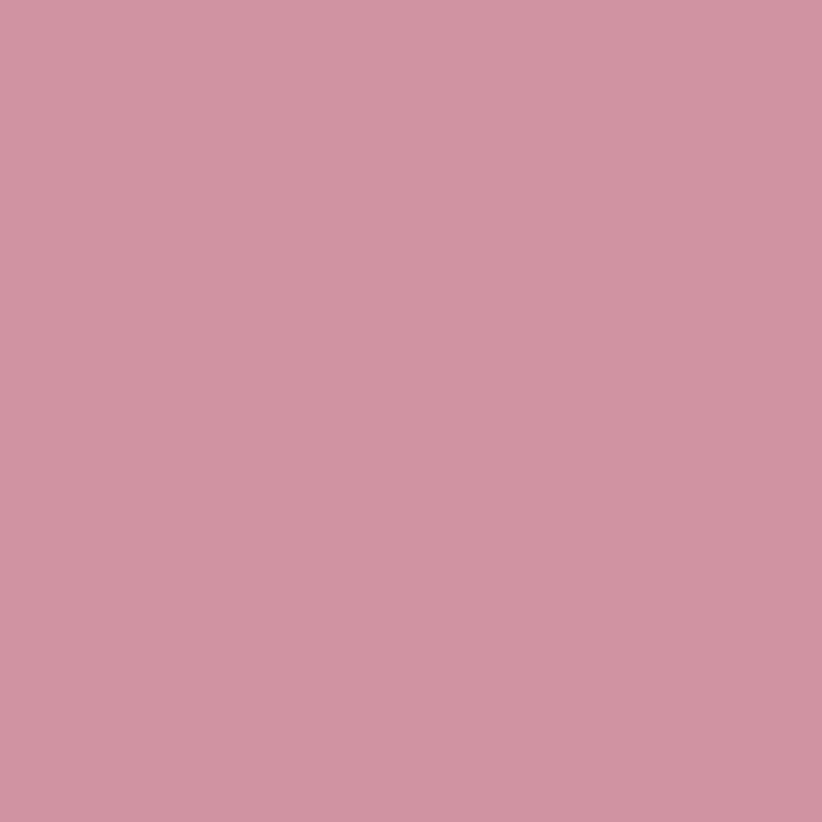 Solid blush pink background showcasing the rose bay color for a soft and elegant product design