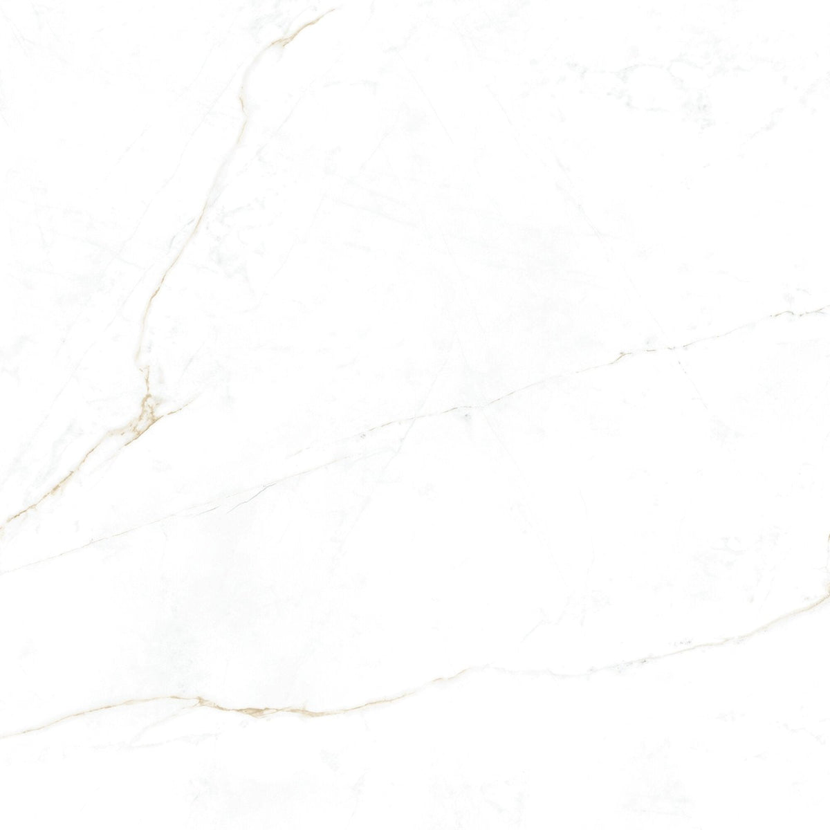 White marble porcelain tile sculpture grande oro with subtle veining for elegant flooring or wall applications