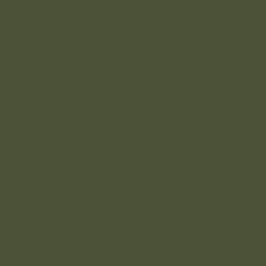 Fired Earth Selva Paint - alternate view