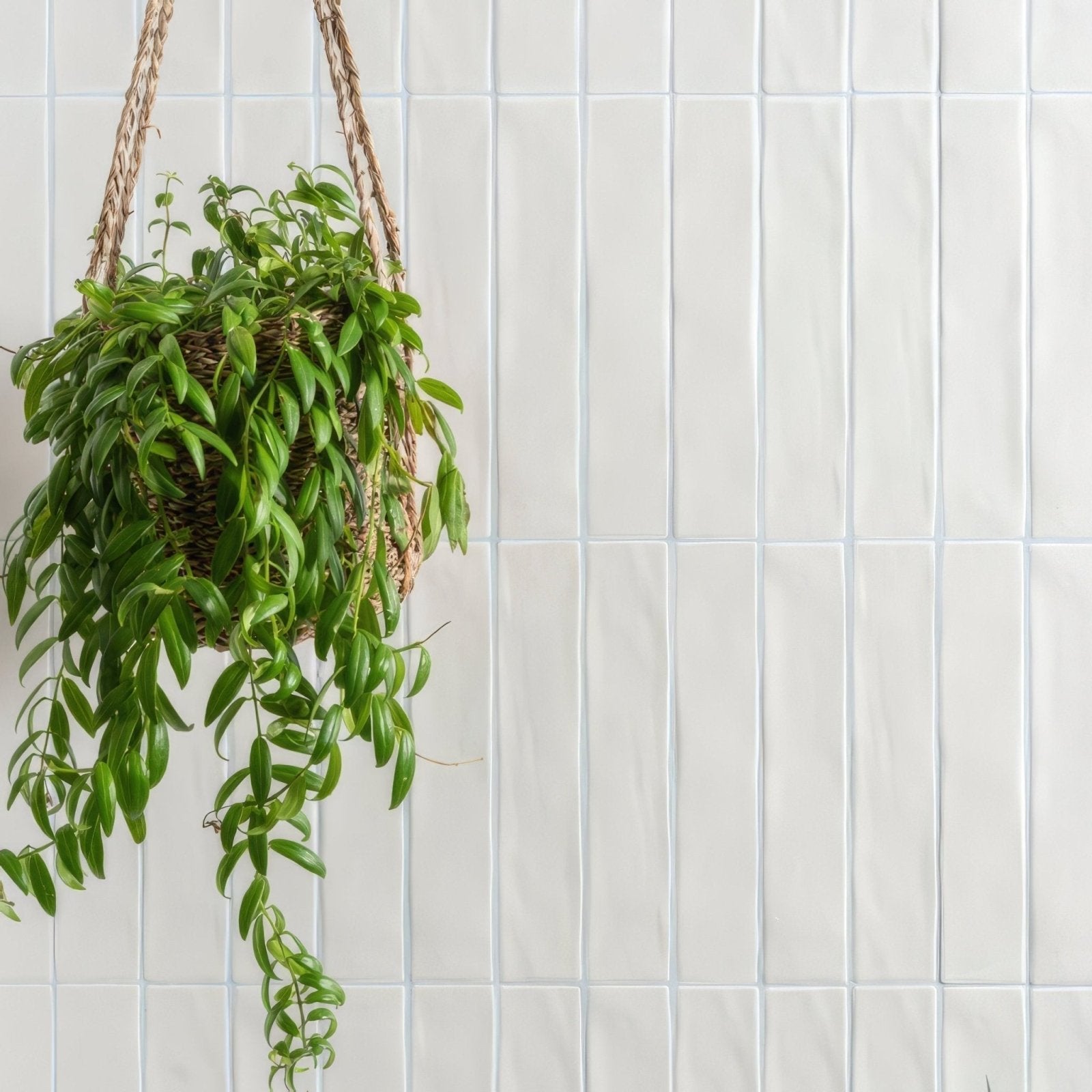 Sherbet White Brick 5x25cm