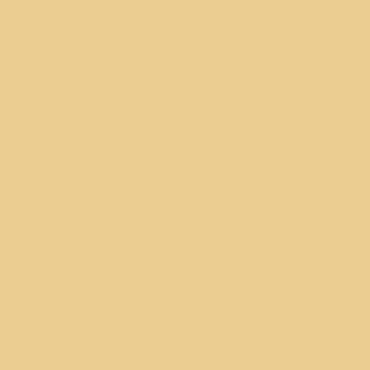 Fired Earth Sienna Earth Paint - alternate view