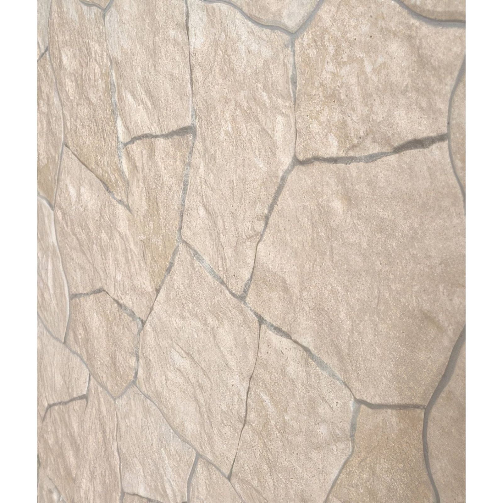 Beige stone veneer with irregular natural shapes and subtle texture in sierra porcelain textured design