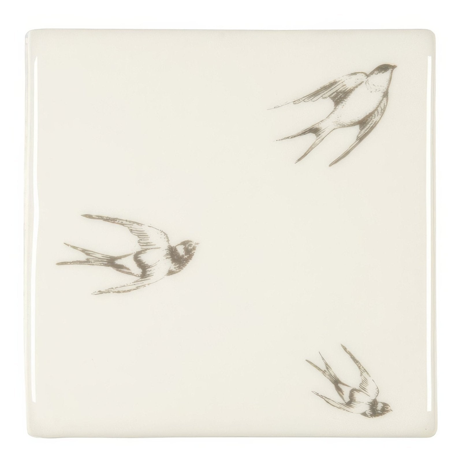 Soaring On Off White