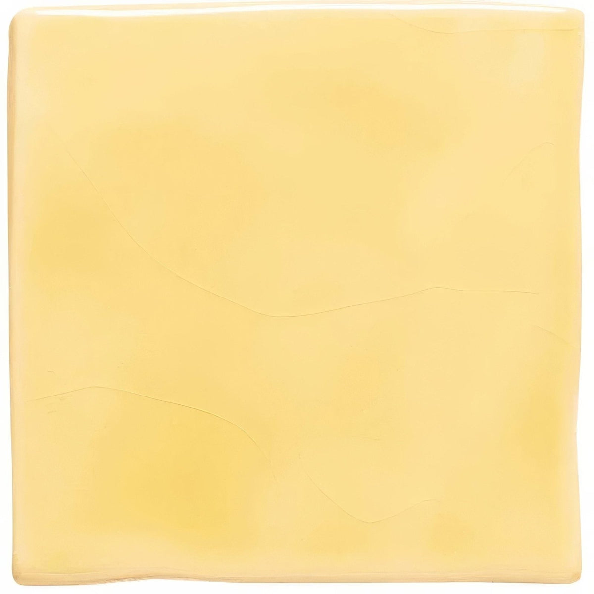 Soft yellow field tile square slice of pale yellow cheese with smooth glossy surface and natural indentations