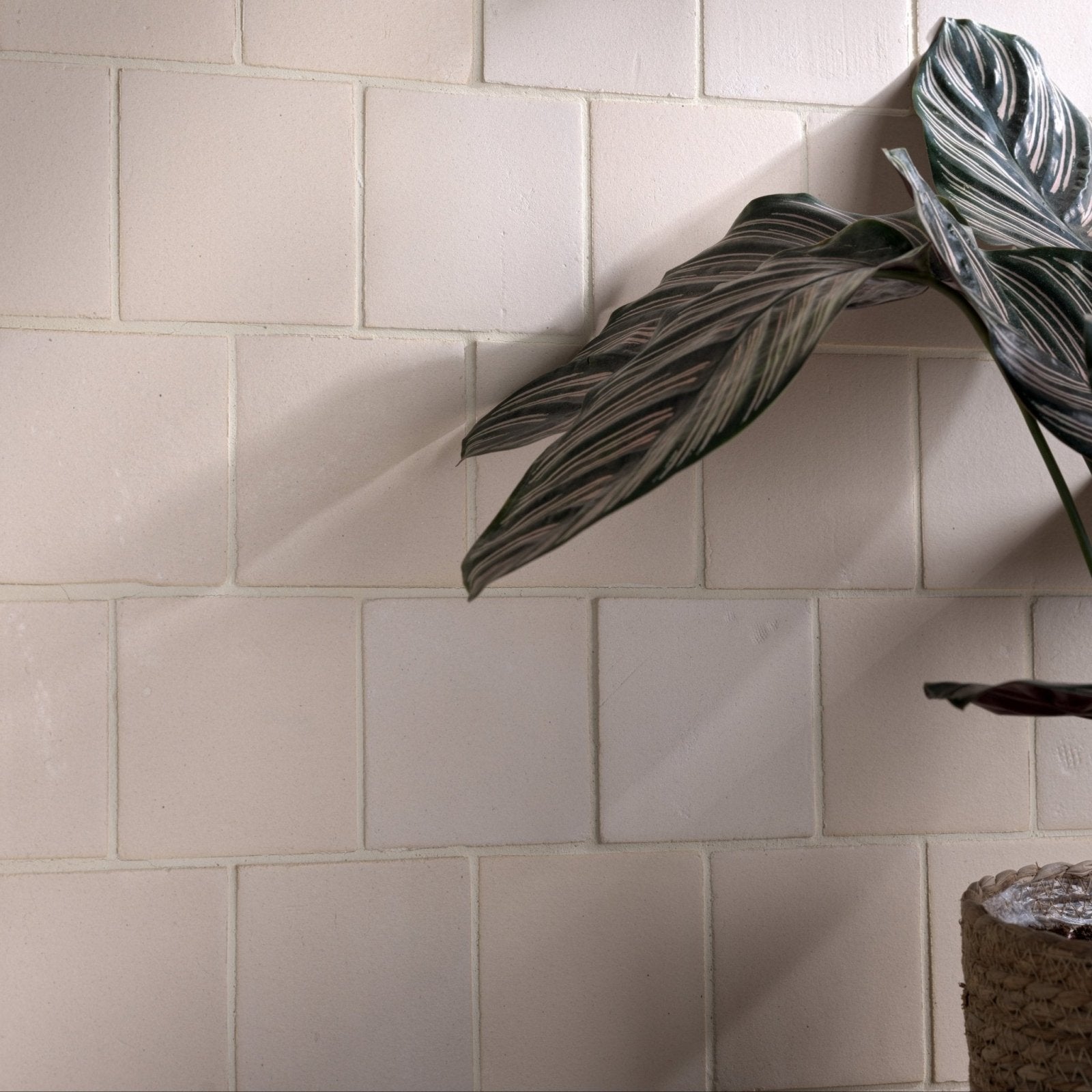 White square ceramic tiles with a subtle matte finish arranged in a classic subway pattern stone glaze ceramic chalkstone matt square