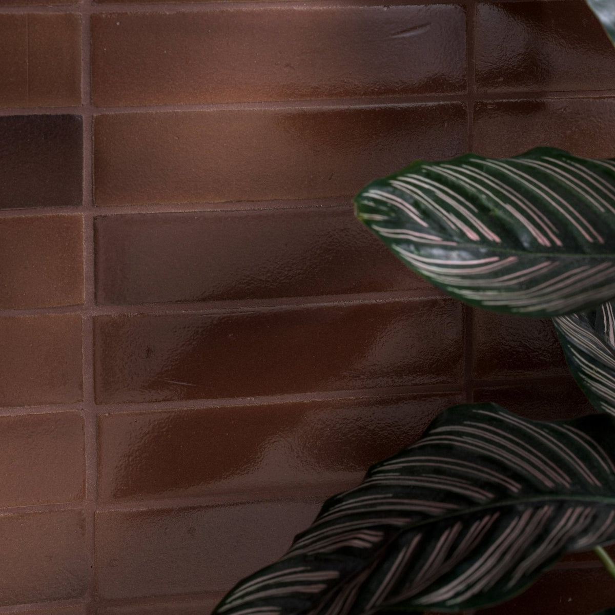 Dark brown glossy rectangular stone glaze ceramic cola gloss brick tiles arranged in a brick-like wall pattern