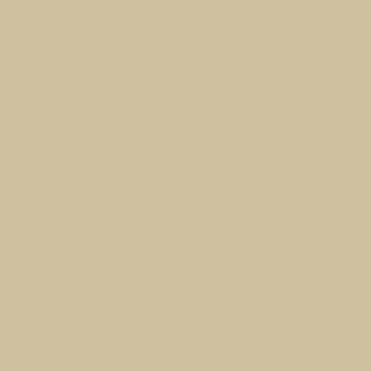 Fired Earth Stone Ochre Paint - alternate view
