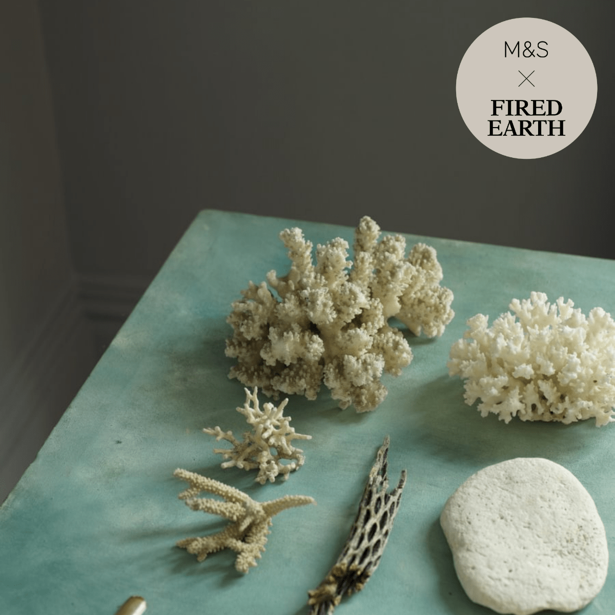 White ceramic coral sculptures in storm collection arranged on a teal surface for home decor display