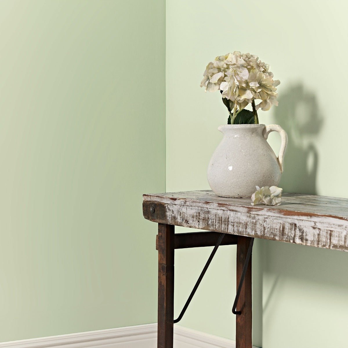 Fired Earth Summer Lichen Paint