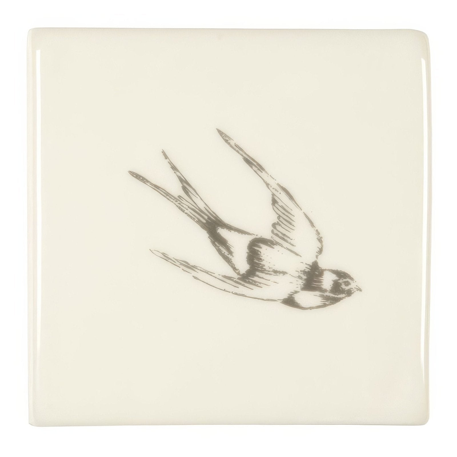 Swooping On Off White