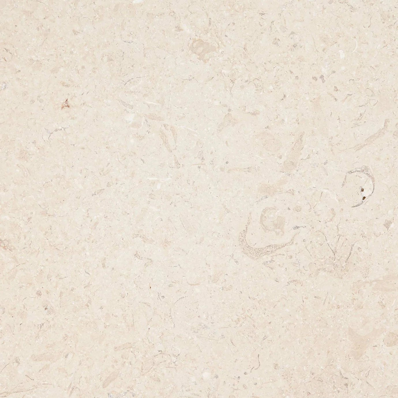 Temple Ezra 60 x 40cm Diamond Sawn Honed