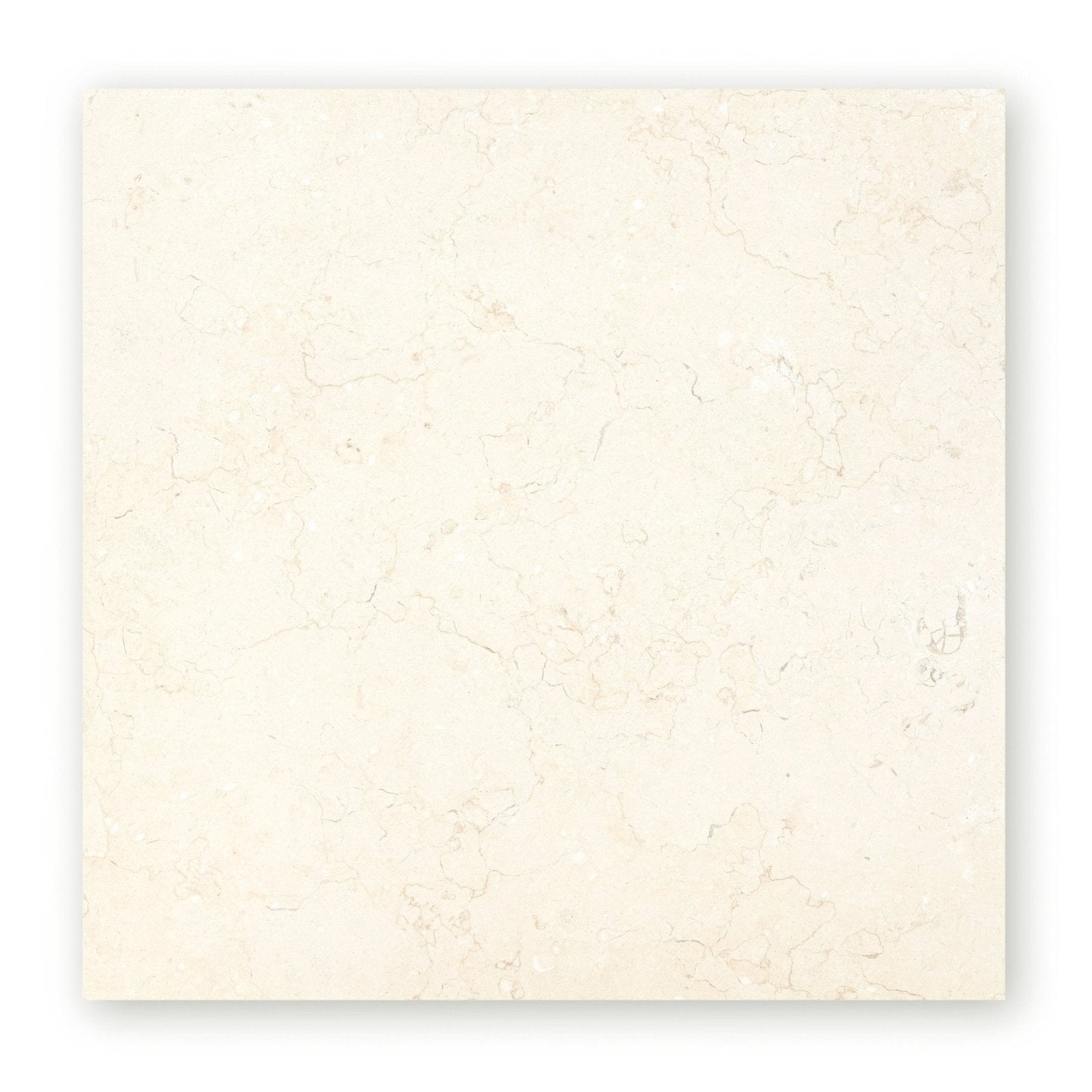 Cream-colored marble tile temple ezra 60 x 60cm diamond sawn honed with subtle veining for elegant flooring and walls