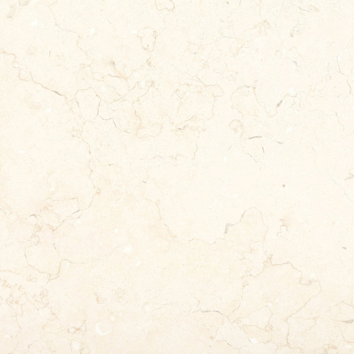 Temple ezra 60 x 60cm diamond sawn honed cream-colored marble surface with subtle gray veining
