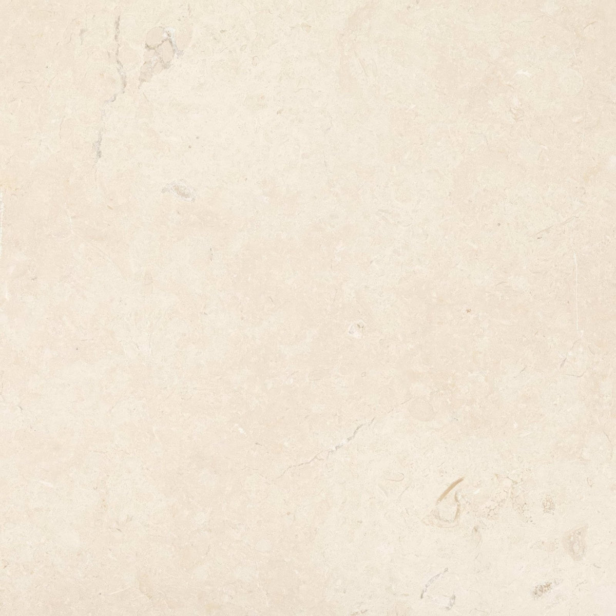 Temple Ezra 60 x 60cm tumbled cream-colored marble tile with subtle veining and a smooth polished surface