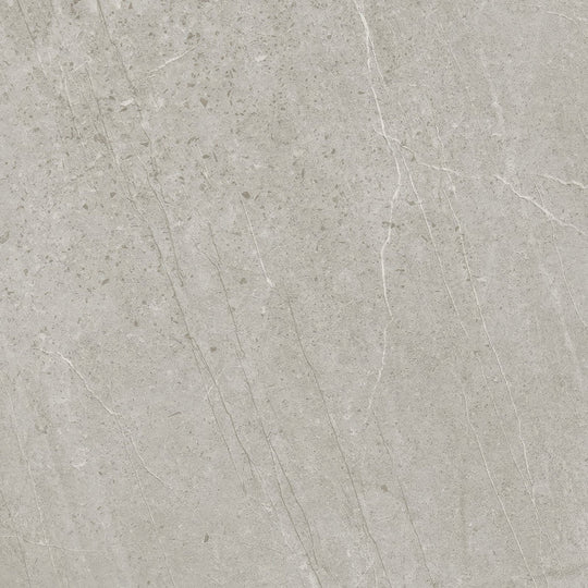 Trevi 1817 Silver Matt Porcelain Wall & Floor Tile - alternate view