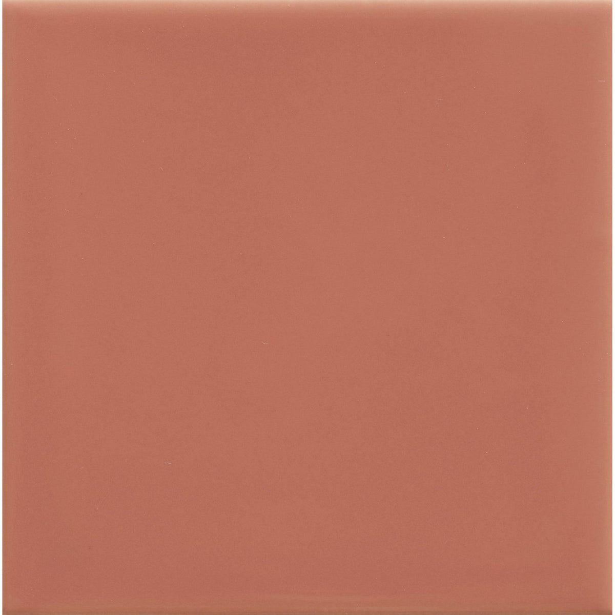 Tunstall ceramic coral square tile with a smooth matte finish in terracotta color for stylish flooring or walls