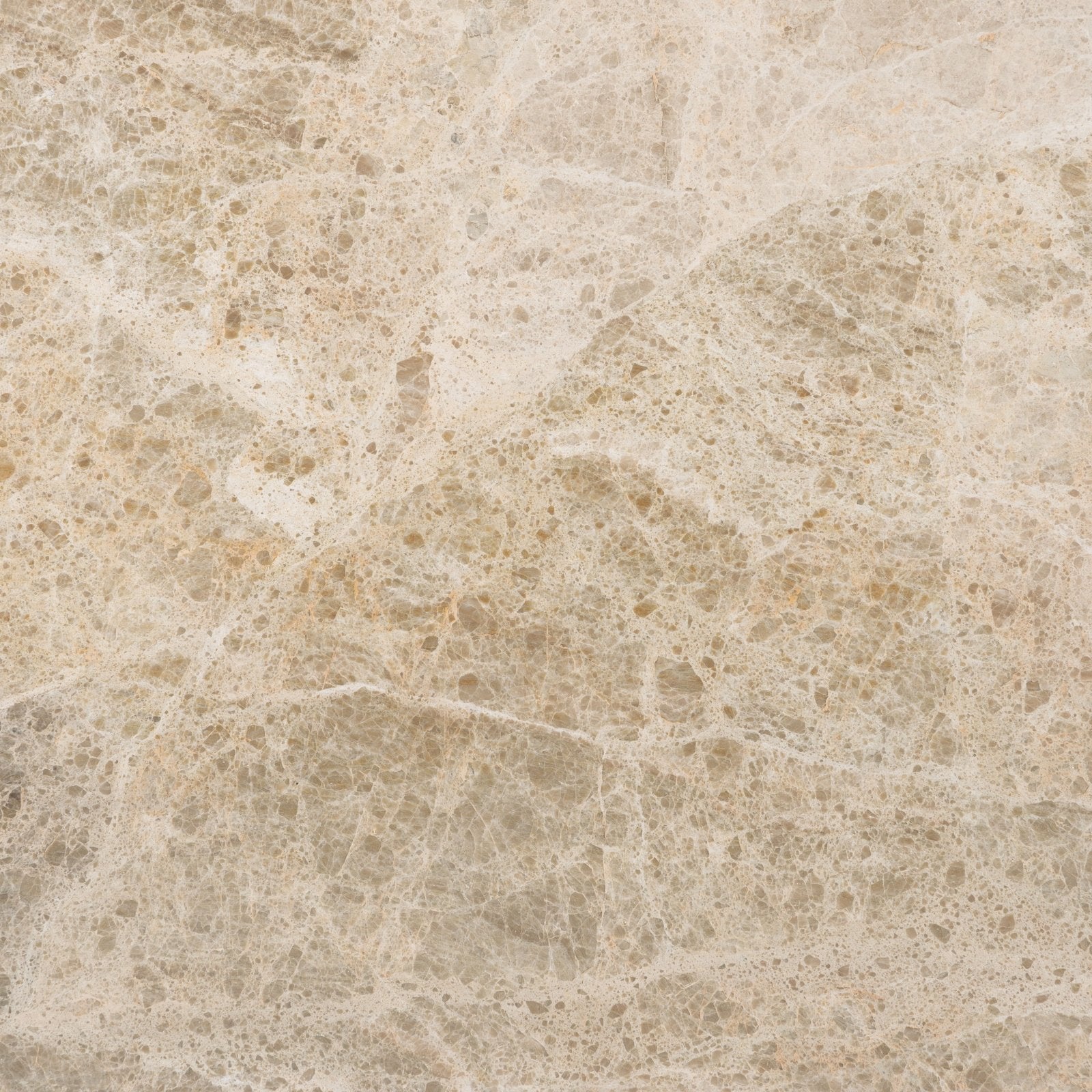 Versailles Marble Ecru Honed