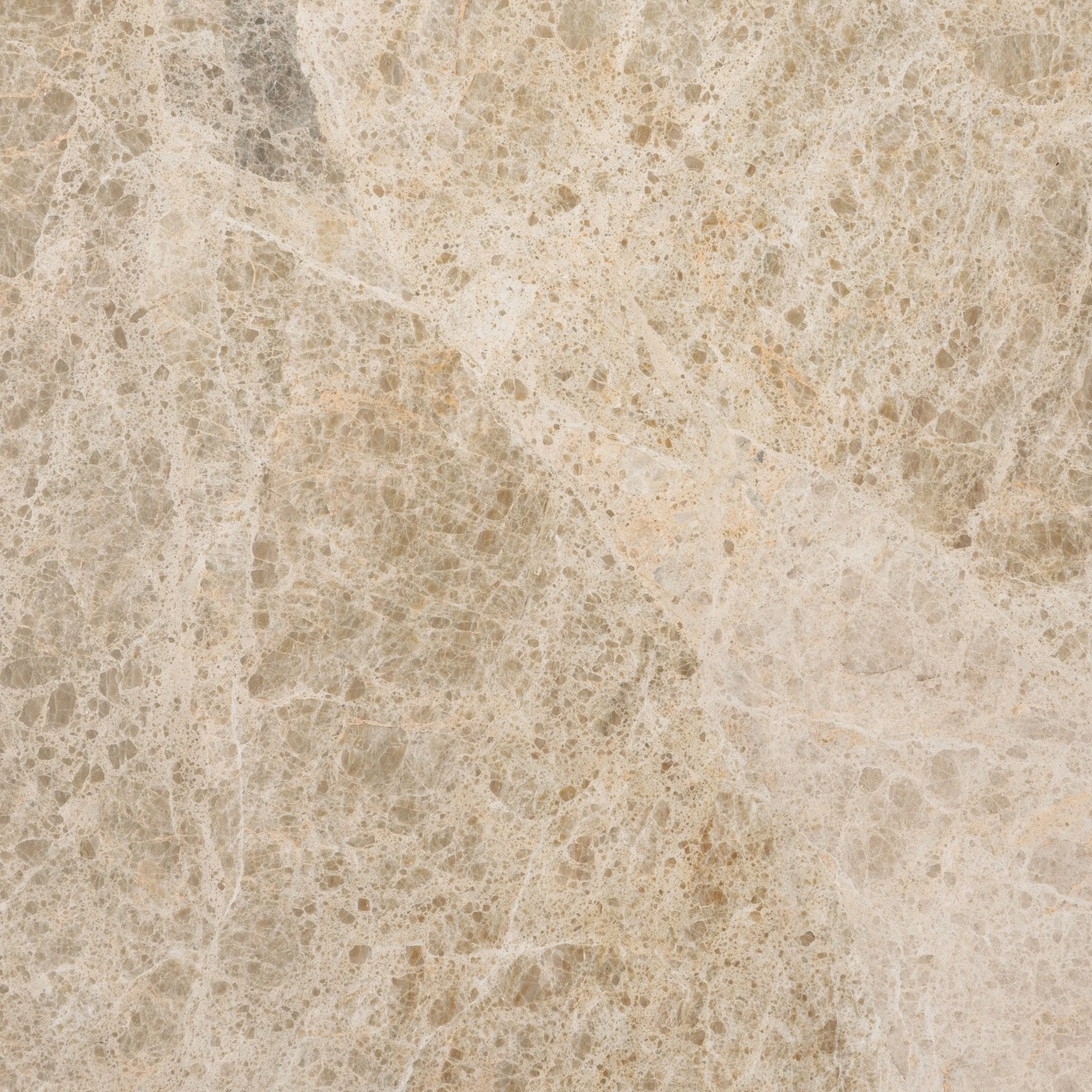 Versailles Marble Ecru Honed