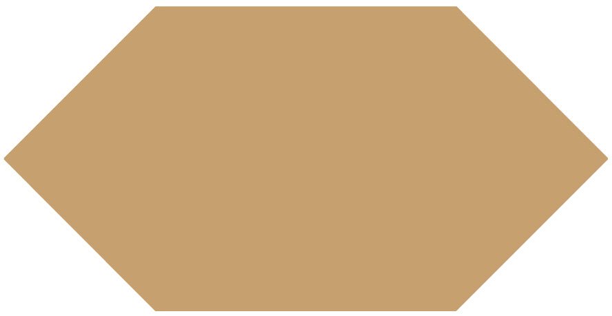 Victorian Floor Tile Hexagon Colours 151 x 75mm