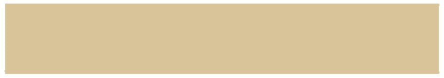 Victorian Floor Tile Rectangle Colours 151 x 24mm