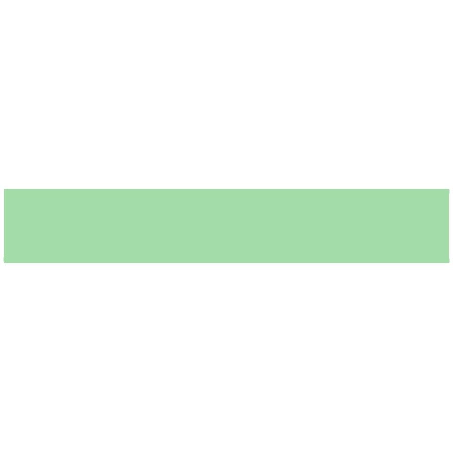 A solid light green rectangular strip tile from Victorian Floor Tile Rectangle Colours 151 x 24mm collection