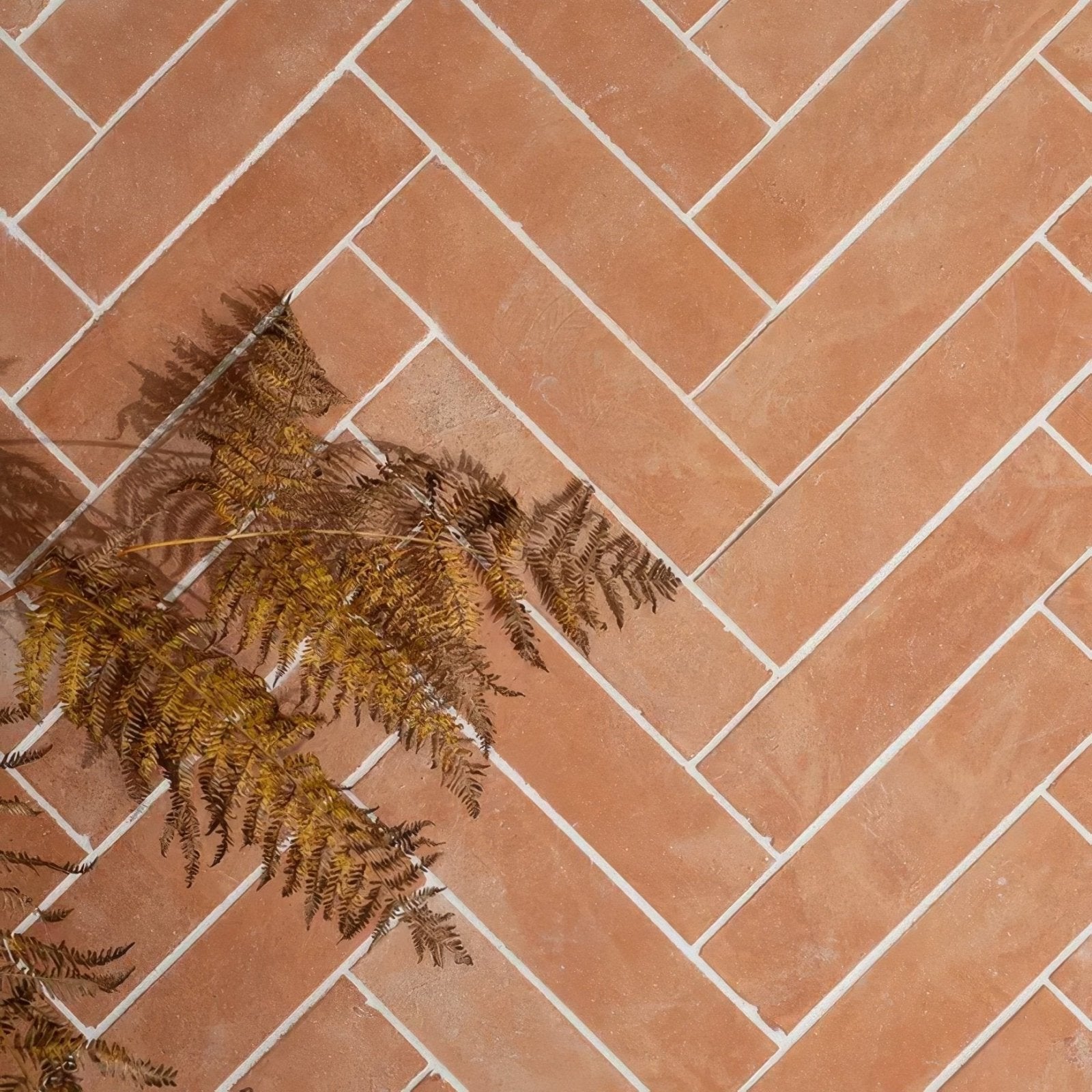 Dry brown fern fronds rest diagonally on a herringbone-patterned wansdyke external terracotta tile floor
