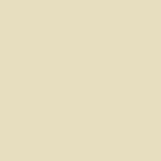 Fired Earth White Ochre Paint - alternate view