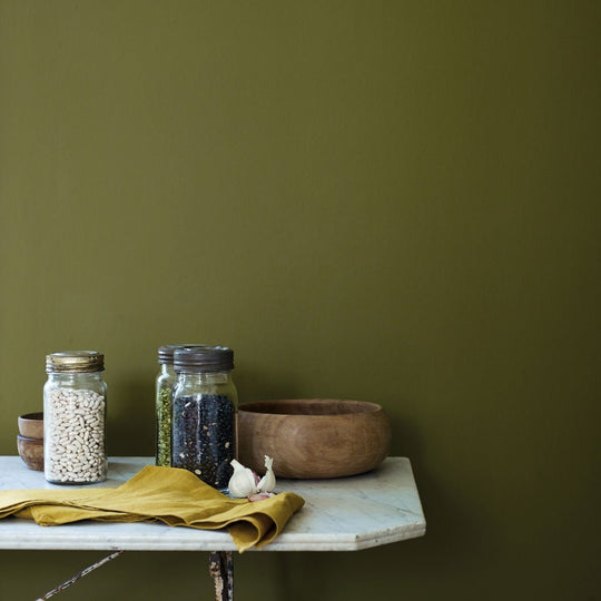 Fired Earth Wild Olive Paint
