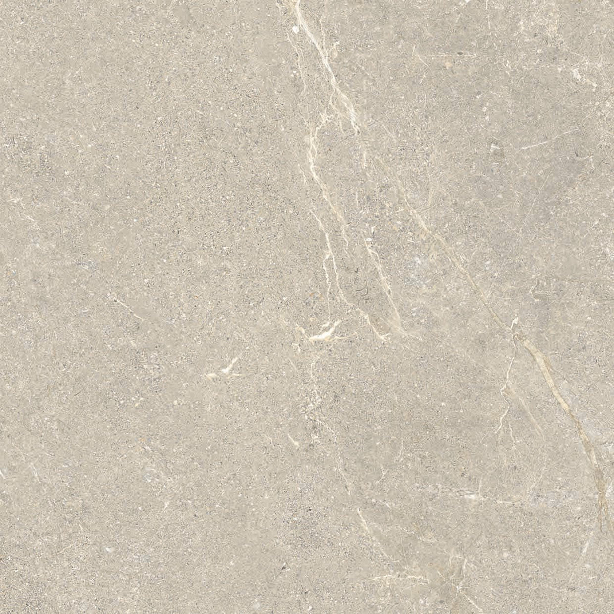 Beige stone tile wonder dune matt 60 x 60cm with subtle white veining and smooth polished finish