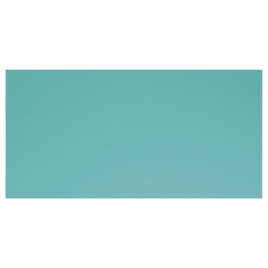 Columbia Clear Glass 300 x 100mm