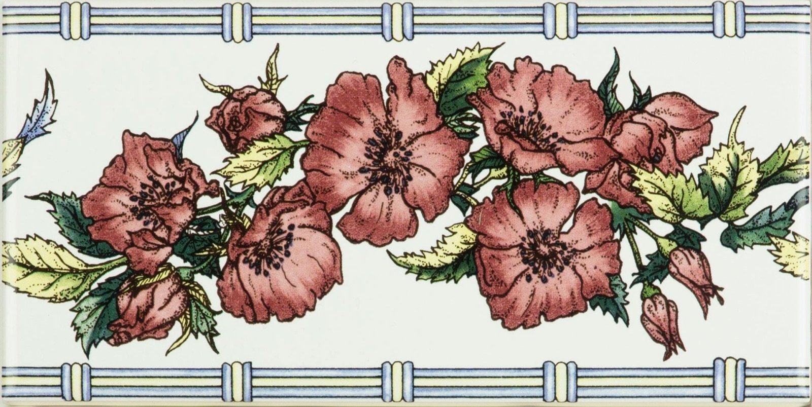 Corded Poppies Red Classical Decorative Border on Brilliant White