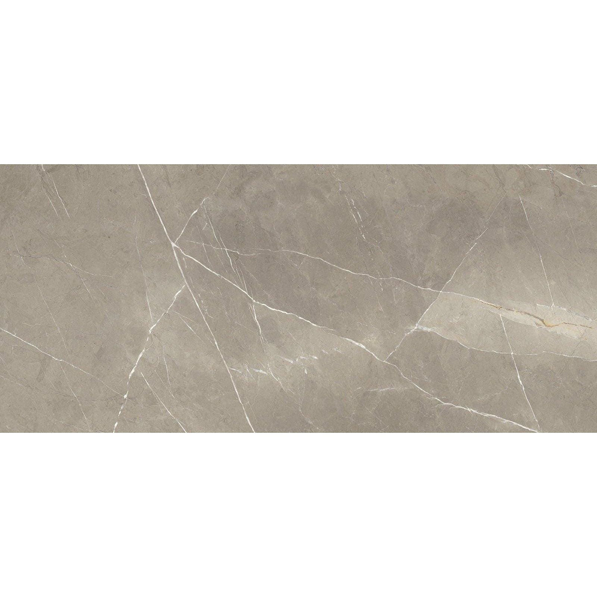 Energy stone pietragrey taupe gray stone tile with subtle white veining in 30 x 60cm size