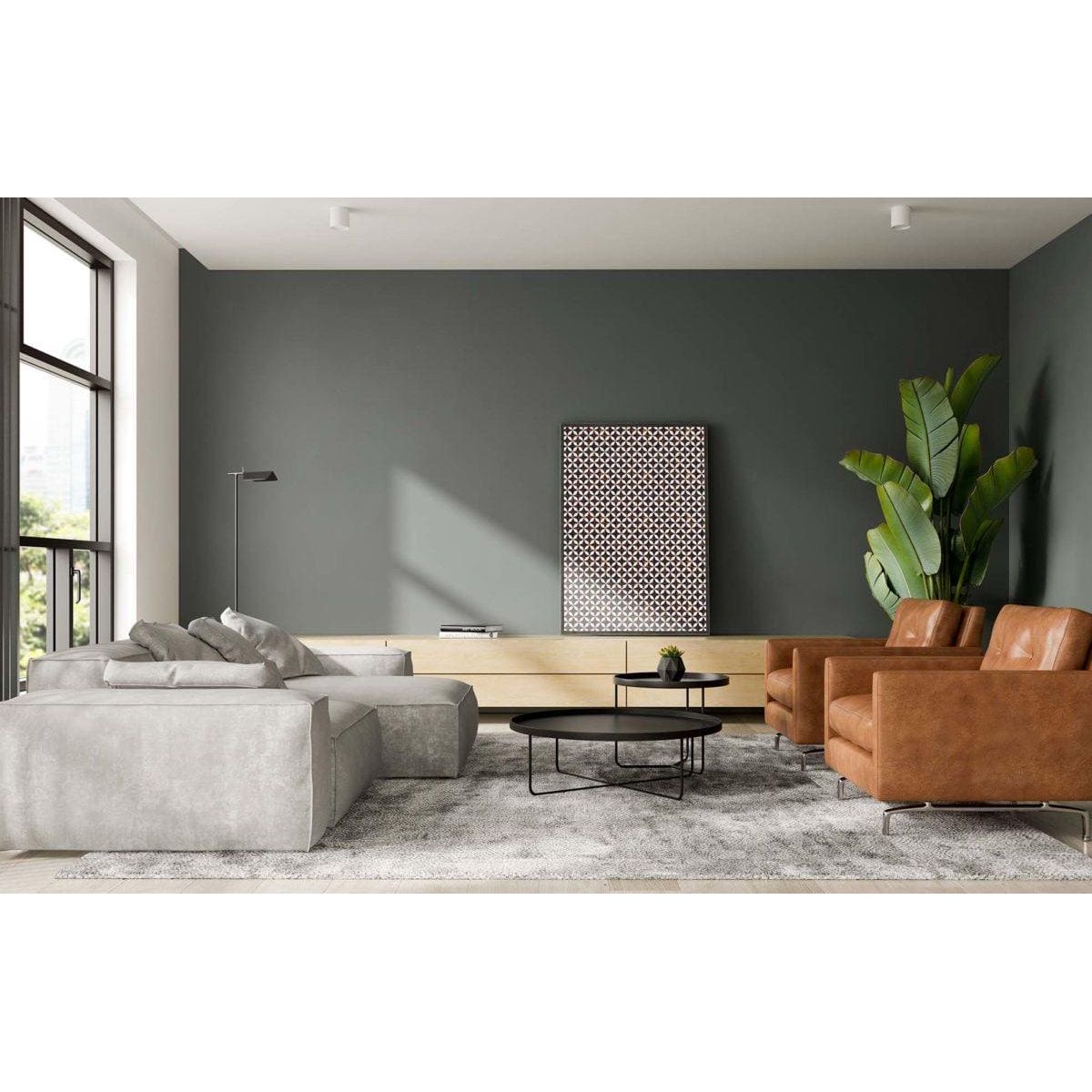 Feature Panel Starlink black and white mother-of-pearl star-pattern panel with tan leather armchairs
