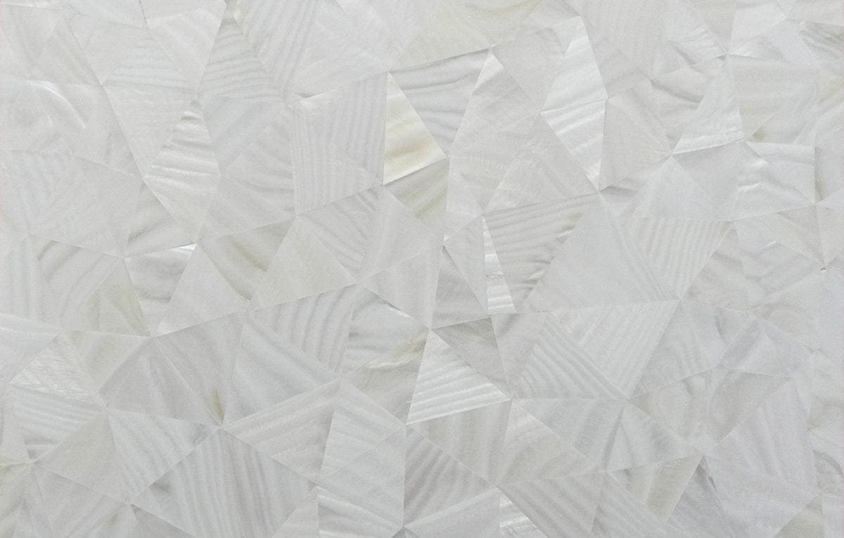 Feature Panel Whisper