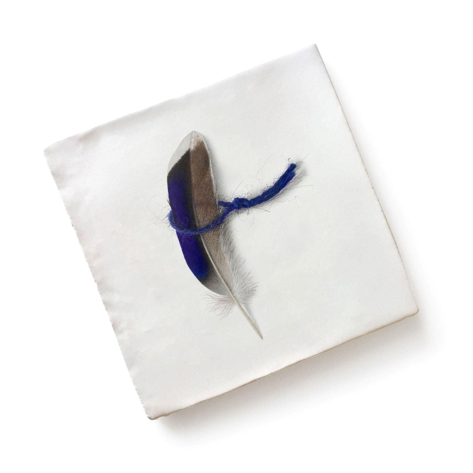 A single ceramic feather by michael angove with dark blue and brown gradient tied with royal blue thread
