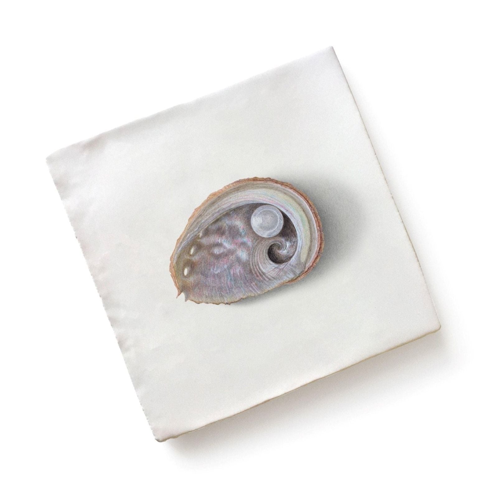 A polished abalone shell with iridescent interior and central pearl on white ceramic tile from Menagerie Ceramic by Michael Angove