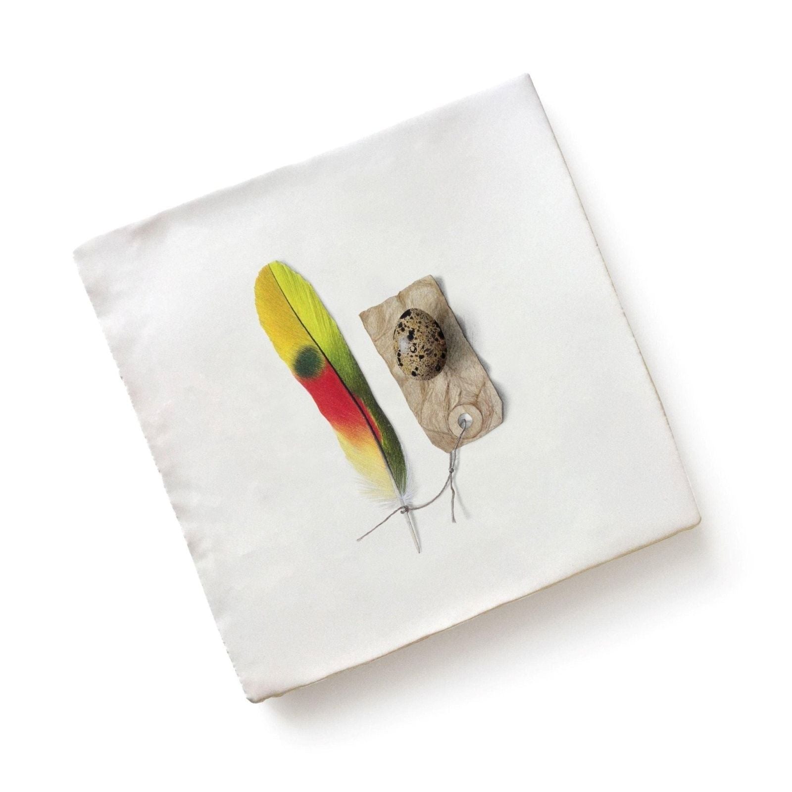 A square white ceramic canvas by michael angove featuring a vibrant yellow green and red feather with a speckled quail egg
